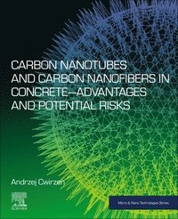 bokomslag Carbon Nanotubes and Carbon Nanofibers in Concrete-Advantages and Potential Risks