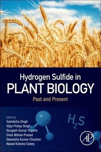 bokomslag Hydrogen Sulfide in Plant Biology