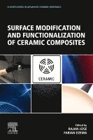 Rajan Jose, Fabian I. Ezema - Surface Modification and Functionalization of Ceramic Composites, Häftad