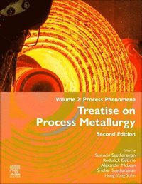 bokomslag Treatise on Process Metallurgy