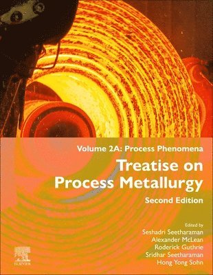 bokomslag Treatise on Process Metallurgy