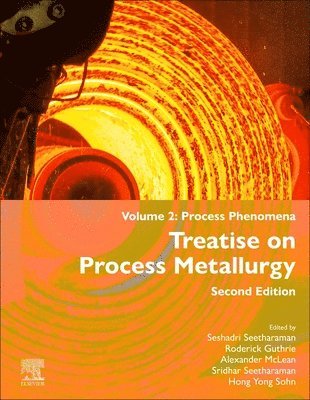 Treatise on Process Metallurgy 1