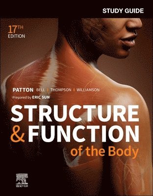 Eric L. Sun, Kevin T. Patton, Frank B. Bell, Terry Thompson, Peggie L. Williamson - Study Guide for Structure & Function of the Body, Häftad