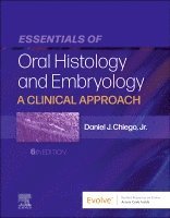 Daniel J. Chiego Jr., Daniel J. Chiego Jr - Essentials of Oral Histology and Embryology, Häftad