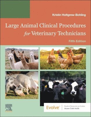 bokomslag Large Animal Clinical Procedures for Veterinary Technicians