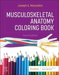 bokomslag Musculoskeletal Anatomy Coloring Book