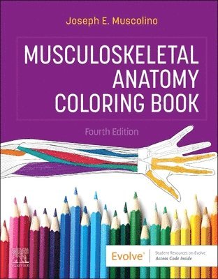 bokomslag Musculoskeletal Anatomy Coloring Book