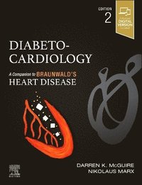bokomslag Diabeto-Cardiology