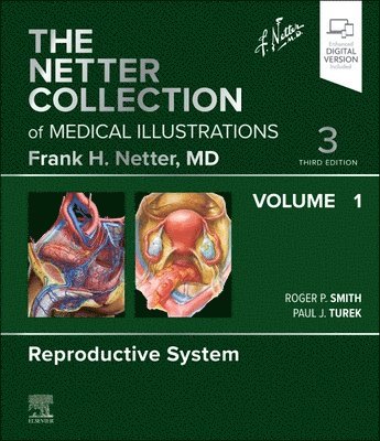 The Netter Collection of Medical Illustrations: Reproductive System, Volume 1 1