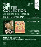 Michael J. Aminoff, Scott Pomeroy, Kerry H. Levin, Michael J Aminoff, Kerry H Levin - The Netter Collection of Medical Illustrations: Nervous System, Volume 7, Part II - Spinal Cord and Peripheral Motor and Sensory Systems, Inbunden