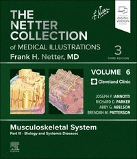 bokomslag The Netter Collection of Medical Illustrations: Musculoskeletal System, Volume 6, Part III - Biology and Systemic Diseases