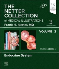 bokomslag The Netter Collection of Medical Illustrations: Endocrine System, Volume 2