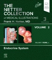 William F. Young - The Netter Collection of Medical Illustrations: Endocrine System, Volume 2, Inbunden
