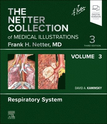 The Netter Collection of Medical Illustrations: Respiratory System, Volume 3 1