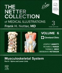 bokomslag The Netter Collection of Medical Illustrations: Musculoskeletal System, Volume 6, Part II - Spine and Lower Limb