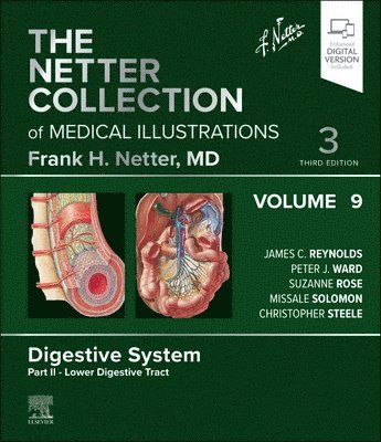 The Netter Collection of Medical Illustrations: Digestive System, Volume 9, Part II - Lower Digestive Tract 1