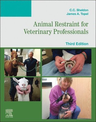 bokomslag Animal Restraint for Veterinary Professionals