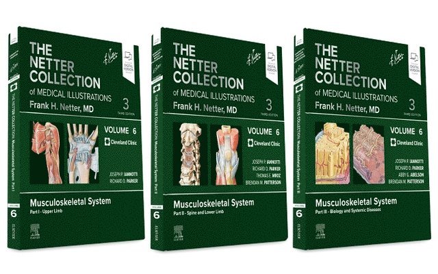 The Netter Collection of Medical Illustrations: Musculoskeletal System Package 1
