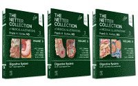 James C. Reynolds - The Netter Collection of Medical Illustrations: Digestive System Package, Inbunden