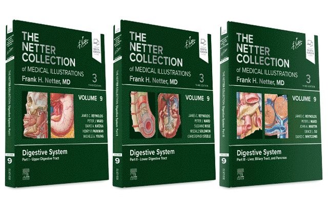 The Netter Collection of Medical Illustrations: Digestive System Package 1