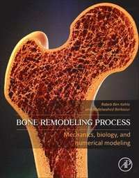 bokomslag Bone Remodeling Process