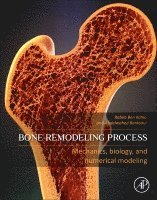 Rabeb Ben Kahla, Abdelwahed Barkaoui - Bone Remodeling Process, Häftad