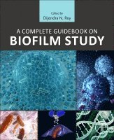 Dijendra Nath Roy - A Complete Guidebook on Biofilm Study, Häftad