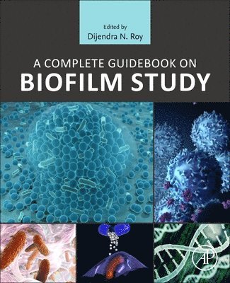 Dijendra Nath Roy - A Complete Guidebook on Biofilm Study, Häftad