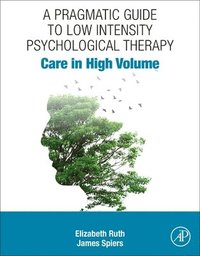 bokomslag A Pragmatic Guide to Low Intensity Psychological Therapy