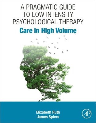 bokomslag A Pragmatic Guide to Low Intensity Psychological Therapy