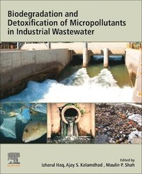 bokomslag Biodegradation and Detoxification of Micropollutants in Industrial Wastewater