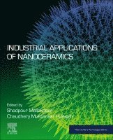 bokomslag Industrial Applications of Nanoceramics