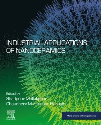 Shadpour Mallakpour, Chaudhery Mustansar Hussain - Industrial Applications of Nanoceramics, Häftad
