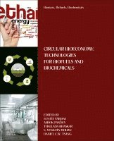 Sunita Varjani, Ashok Pandey, Thallada Bhaskar, S.Venkata Mohan, Daniel C.W. Tsang - Biomass, Biofuels, Biochemicals, Häftad