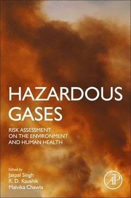Jaspal Singh, R.D. Kaushik, Malvika Chawla, R. D. Kaushik, R D Kaushik - Hazardous Gases, Häftad