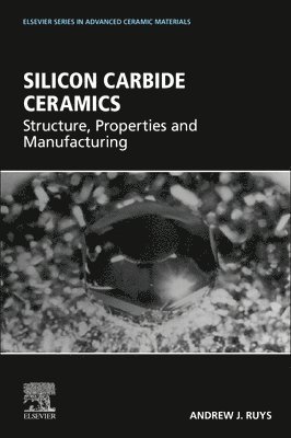 bokomslag Silicon Carbide Ceramics
