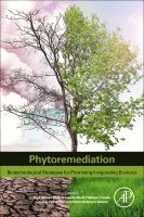 Rouf Ahmad Bhat, Fernanda Maria Policarpo Tonelli, Gowhar Hamid Dar, Khalid Rehman Hakeem - Phytoremediation, Häftad