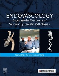 bokomslag Endovascology