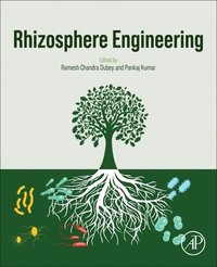 bokomslag Rhizosphere Engineering