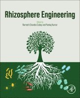 Ramesh Chandra Dubey, Pankaj Kumar - Rhizosphere Engineering, Häftad
