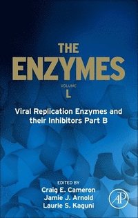bokomslag Viral Replication Enzymes and their Inhibitors Part B