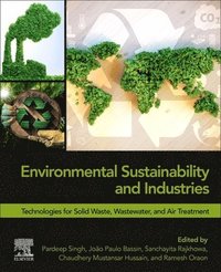 bokomslag Environmental Sustainability and Industries