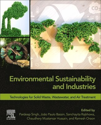 bokomslag Environmental Sustainability and Industries