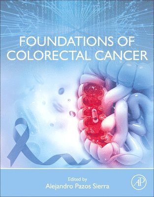 Alejandro Pazos Sierra - Foundations of Colorectal Cancer, Häftad