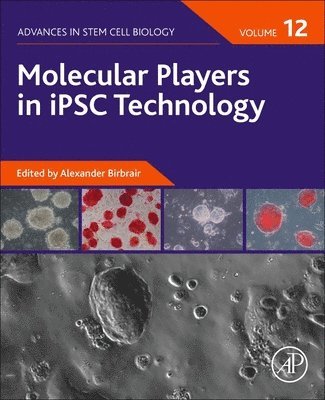 Alexander Birbrair - Molecular Players in iPSC Technology, Häftad