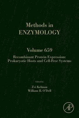 bokomslag Recombinant Protein Expression: Prokaryotic hosts and cell-free systems