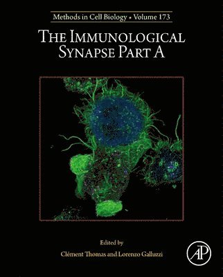 bokomslag The Immunological Synapse Part A