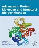 Timir Tripathi, Vikash Kumar Dubey - Advances in Protein Molecular and Structural Biology Methods, Häftad