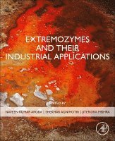 Naveen Kumar Arora, Shekhar Agnihotri, Jitendra Mishra - Extremozymes and their Industrial Applications, Häftad