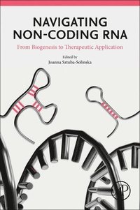 bokomslag Navigating Non-coding RNA